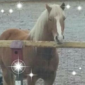 Meet your Posher, Roger